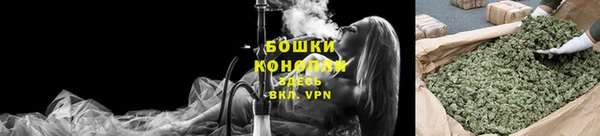 винт Костерёво