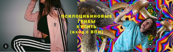 винт Костерёво