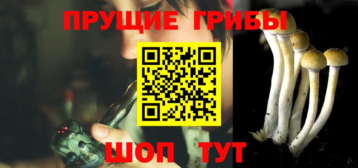 Галлюциногенные грибы MAGIC MUSHROOMS  Вход с VPN  Псилоцибиновые грибы прущие грибы  Карпинск 